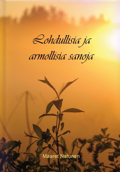 Maaret Natunen: Lohdullisia ja armollisia sanoja