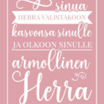 Vaaleanpunainen